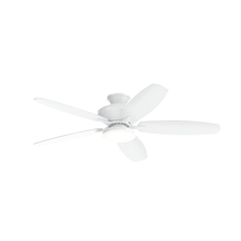 Ceiling Fans