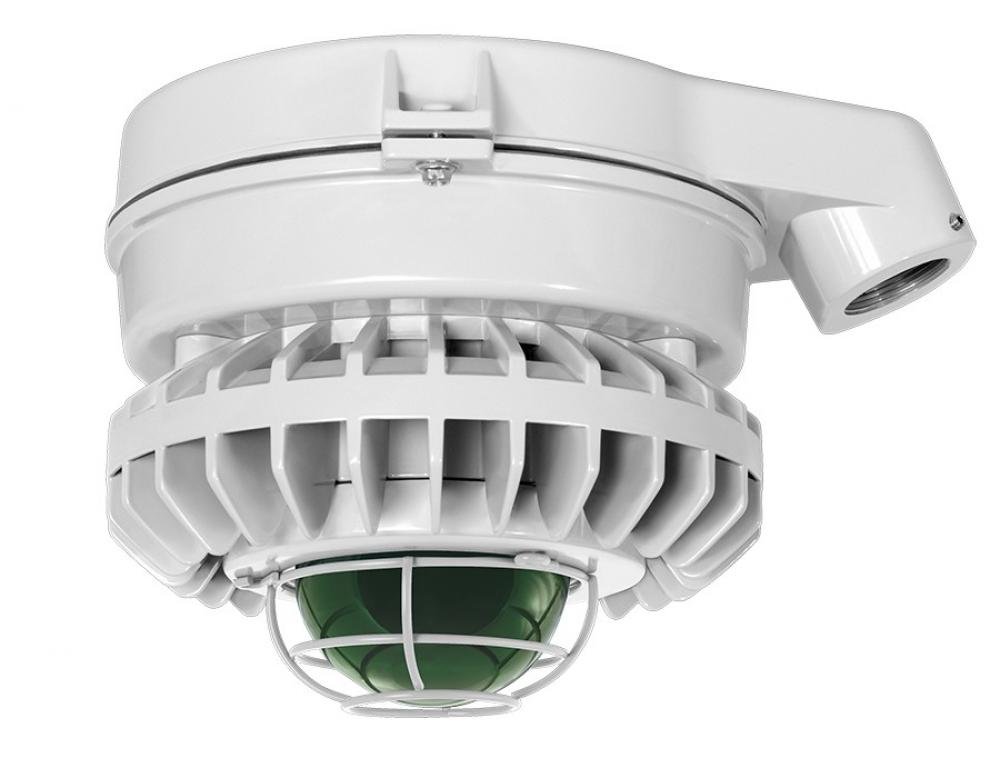 HAZLED 26W COOL LED CEILING GREEN FROSTED GLOBE WIRE GUARD