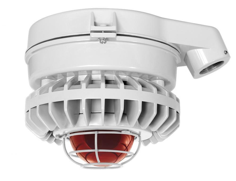 HAZLED 26W COOL LED CEILING AMBER FROSTED GLOBE GRAY