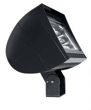 RAB Lighting FXLED300TB55/PCT - FLEXFLOOD 300W COOL LED