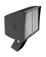 RAB Lighting PIPXL70SFYW/D10/PFS - PIP XL FLOODLIGHT 70W WARM