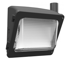 RAB Lighting WPX1/LC - WPX1 30/20/15W 3000K/4000K/5000K PHOTOCELL LIGHTCLOUD CONTROL BRONZE