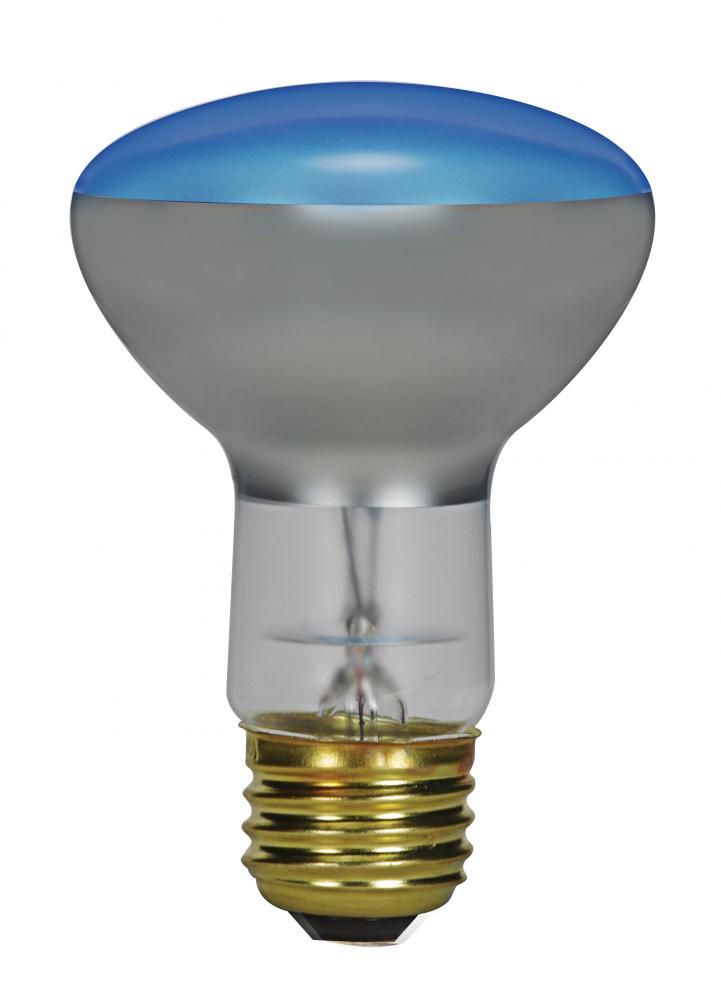 75 Watt R25 Incandescent; Grow; 2000 Average rated hours; Medium base; 120 Volt