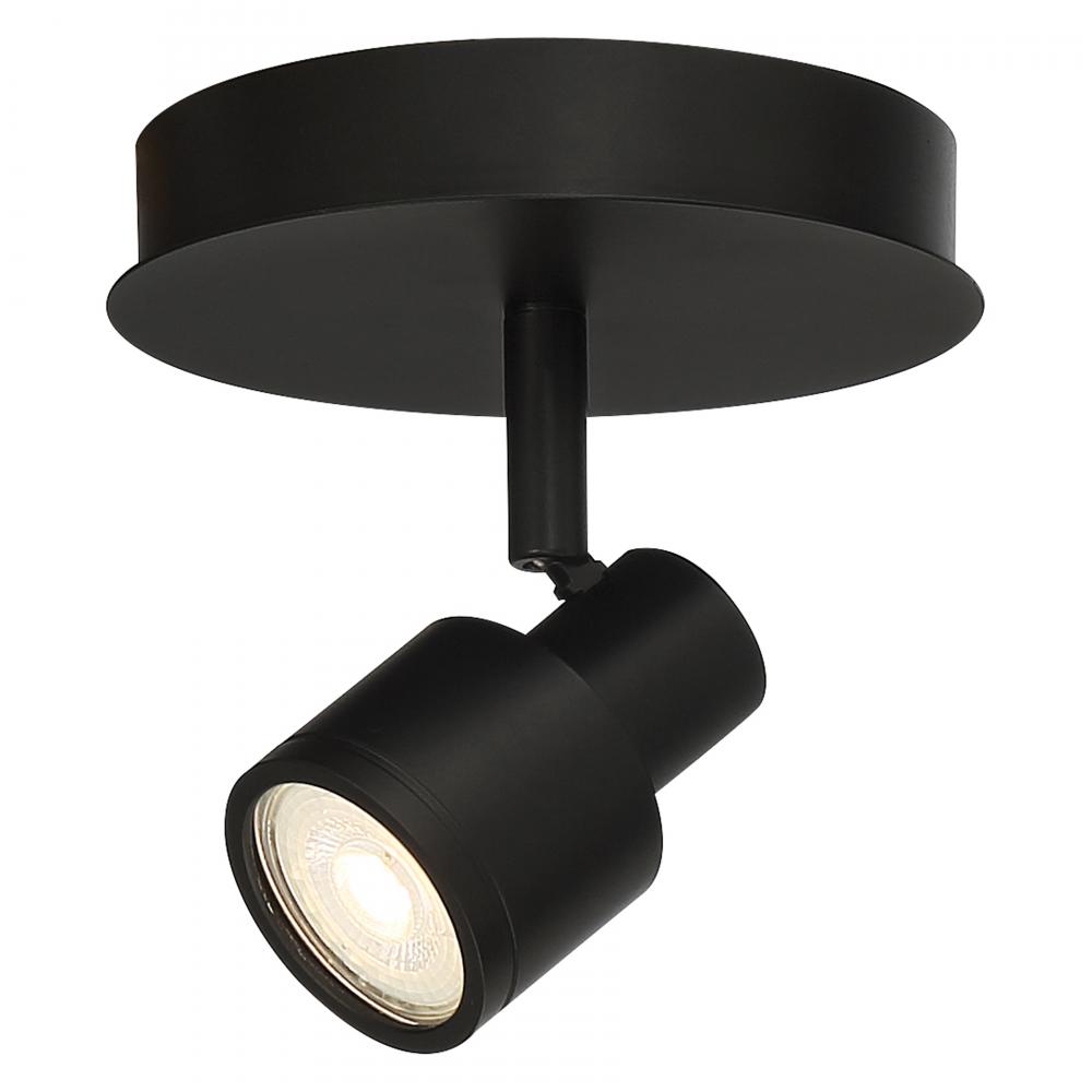 1 Light Adjustable LED Flush Mount