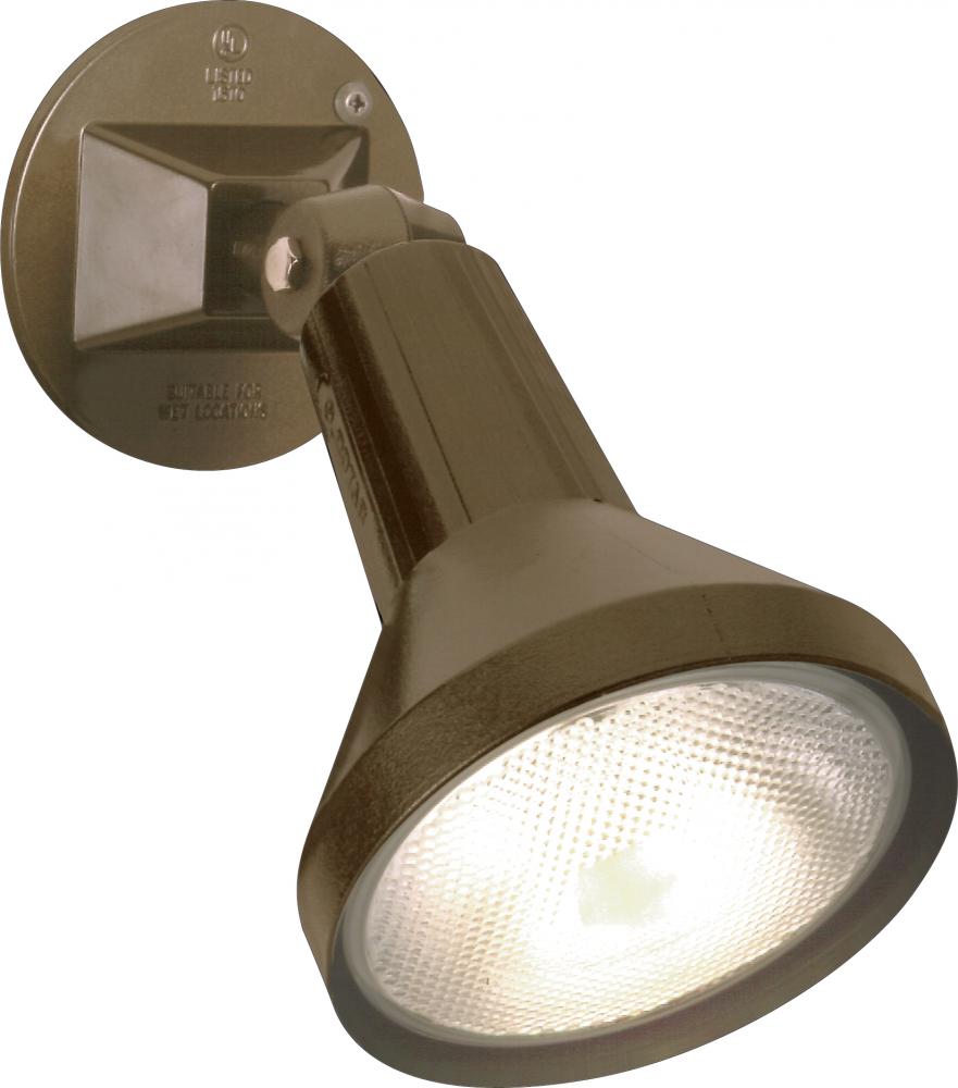 1 Light - 8" Flood Light PAR38 with Adjustable Swivel - Dark Bronze Finish