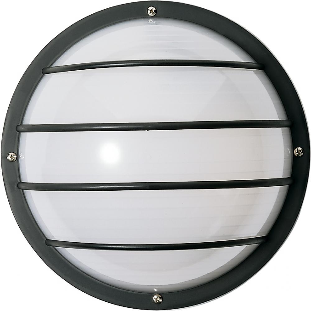1 Light - 10" Round Cage Polysynthetic Body and Lens - Black Finish