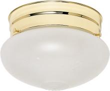Nuvo 60/6030 - 1 Light - 6" - Flush Mount - Small Frosted Grape Mushroom; Color retail packaging