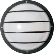 Nuvo SF77/859 - 1 Light - 10" Round Cage Polysynthetic Body and Lens - Black Finish